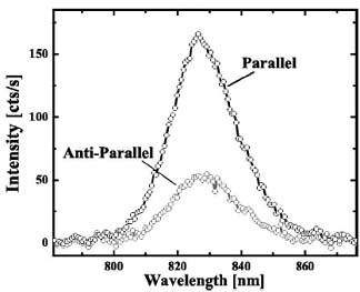 s-v_tr02.jpg