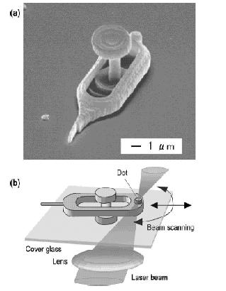 micr-m02.jpg