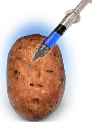 potato