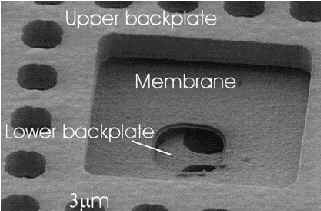 si-micr02.jpg