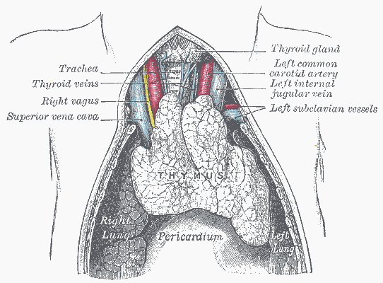 Fig1_1