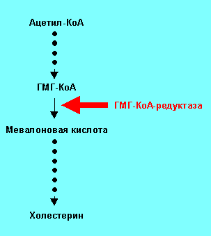 gp7.gif