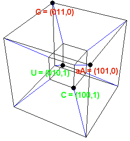 dna1.gif