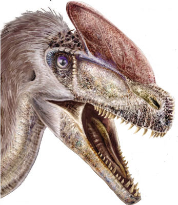 guanlong.jpg