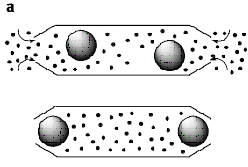 carb-hyd1.gif