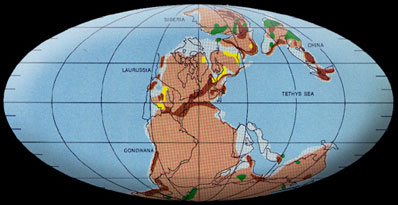 Pangea