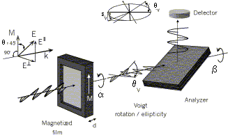 voigt01.gif